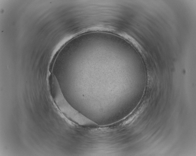 X0000072970902200608041215