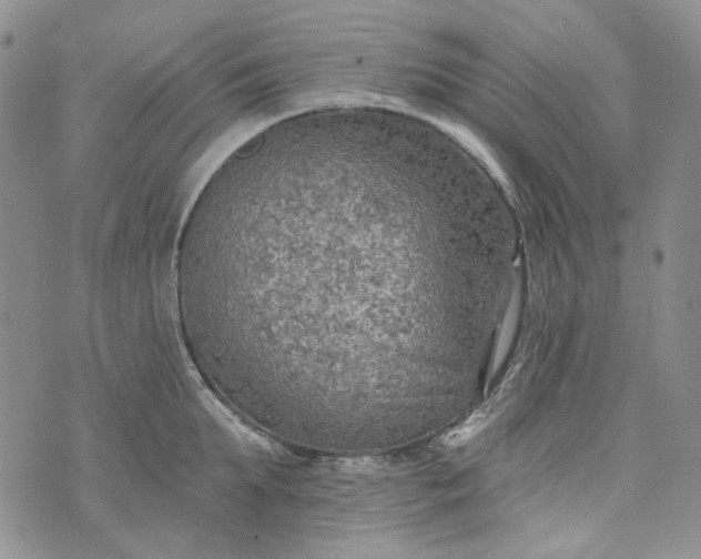 X0000072970903200608041215