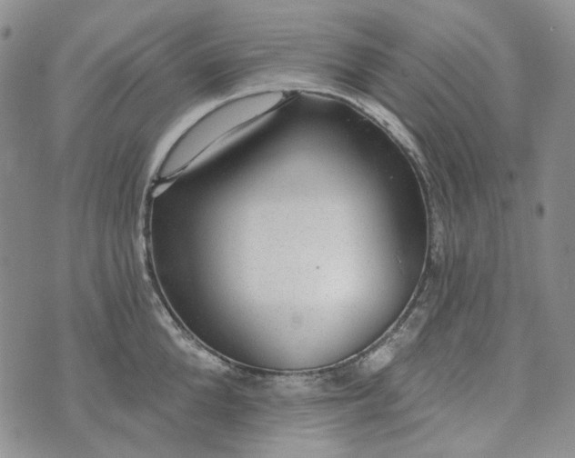 X0000072970904200608041215