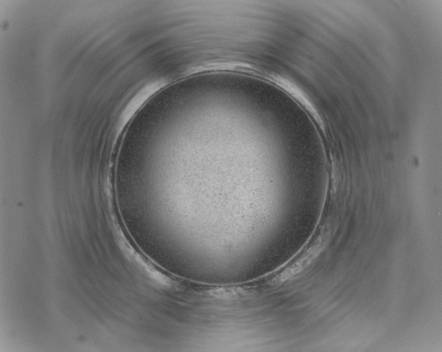 X0000072970906200608041215