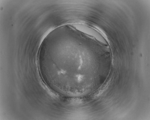 X0000072970907200608041215