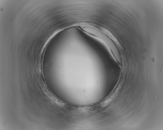 X0000072970908200608041215