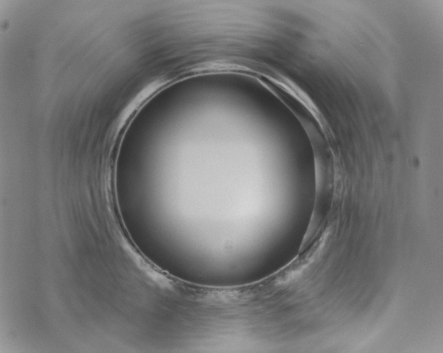 X0000072970909200608041215