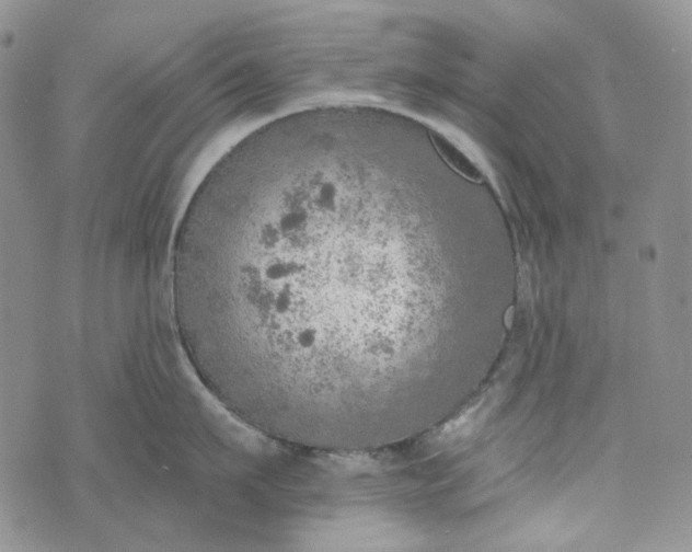 X0000072970911200608041215