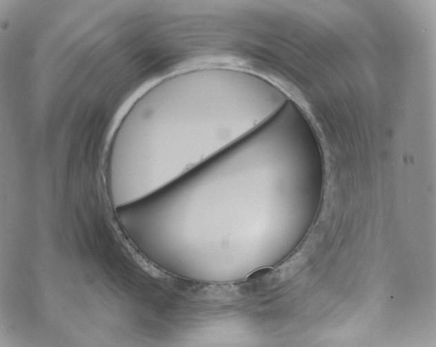 X0000072970912200608041215