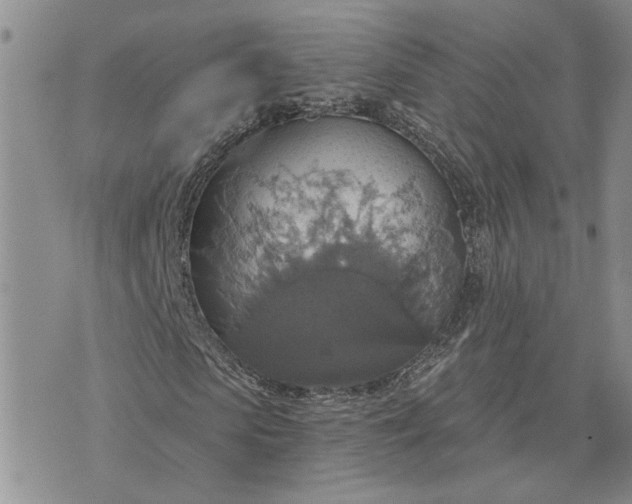 X0000072970913200608041214