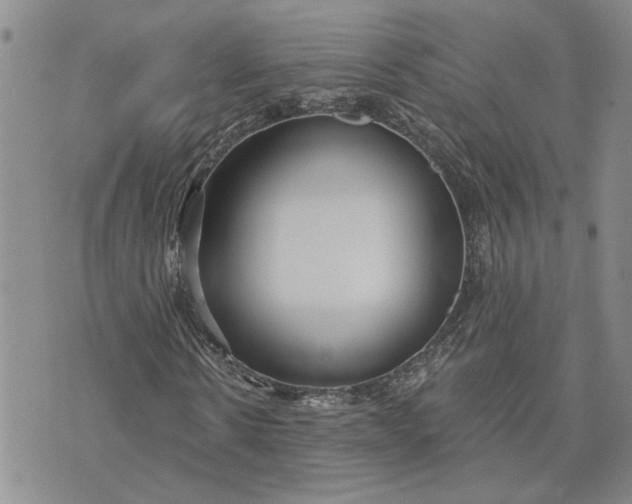 X0000072970914200608041214