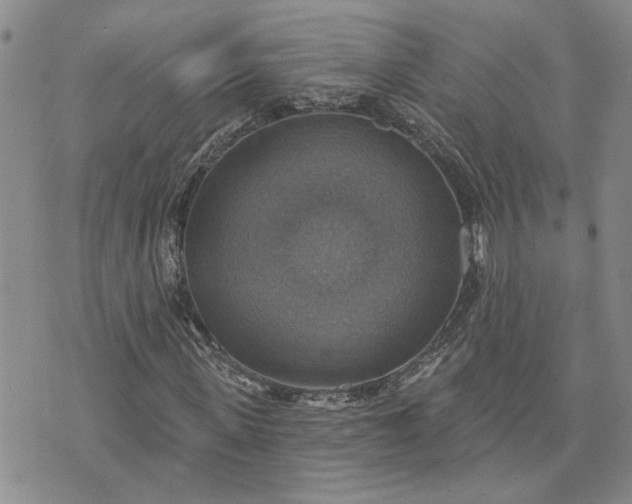 X0000072970915200608041214