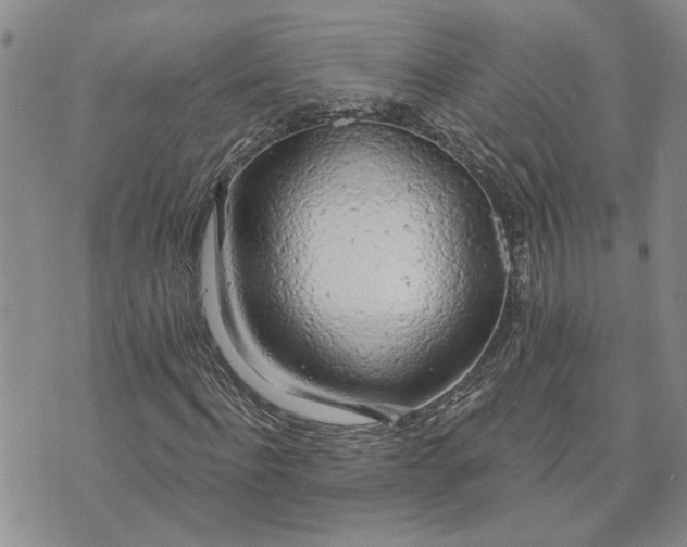 X0000072970916200608041214