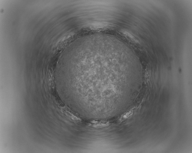 X0000072970917200608041214