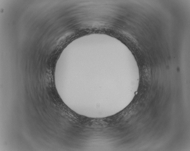 X0000072970918200608041214