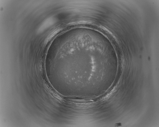 X0000072970921200608041214