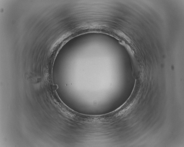 X0000072970922200608041214