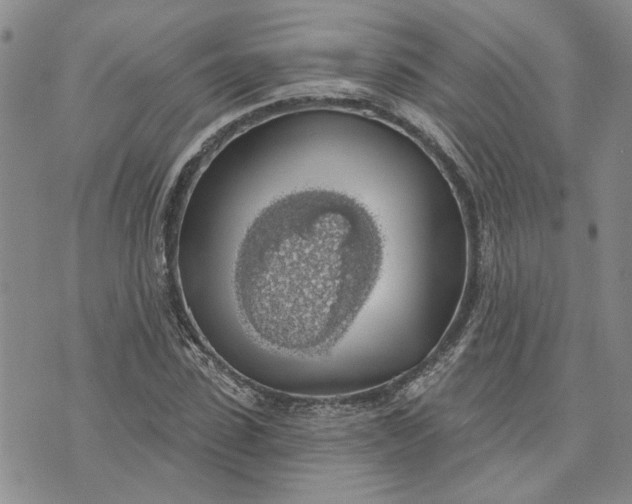 X0000072970923200608041214