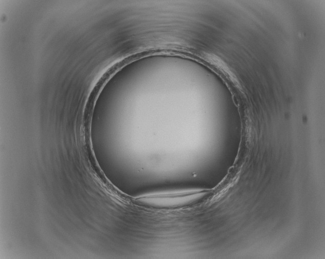 X0000072970924200608041214