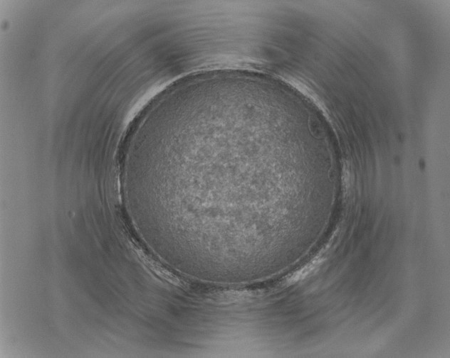 X0000072970925200608041214