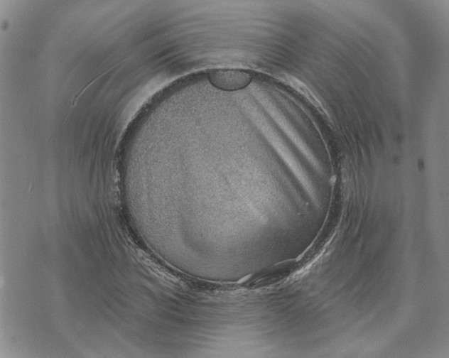 X0000072970926200608041214