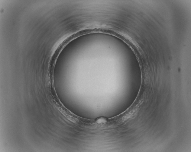 X0000072970927200608041214