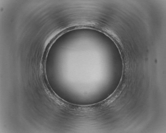 X0000072970928200608041214