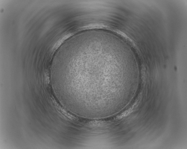 X0000072970929200608041214