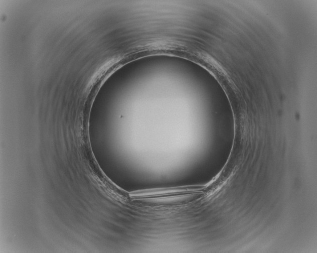 X0000072970930200608041214