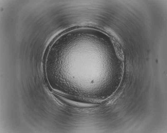 X0000072970932200608041214