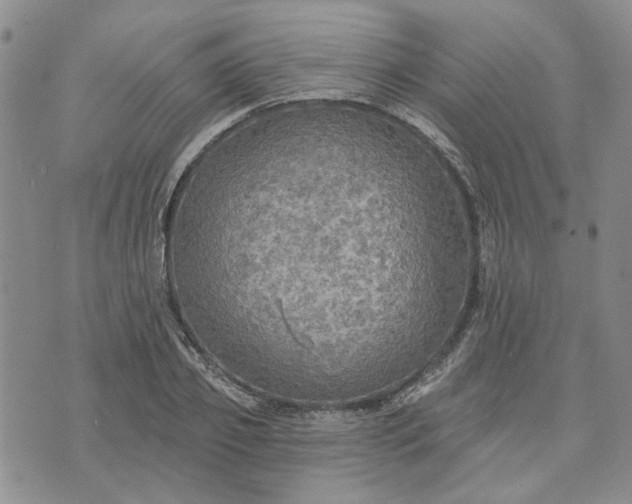 X0000072970933200608041214