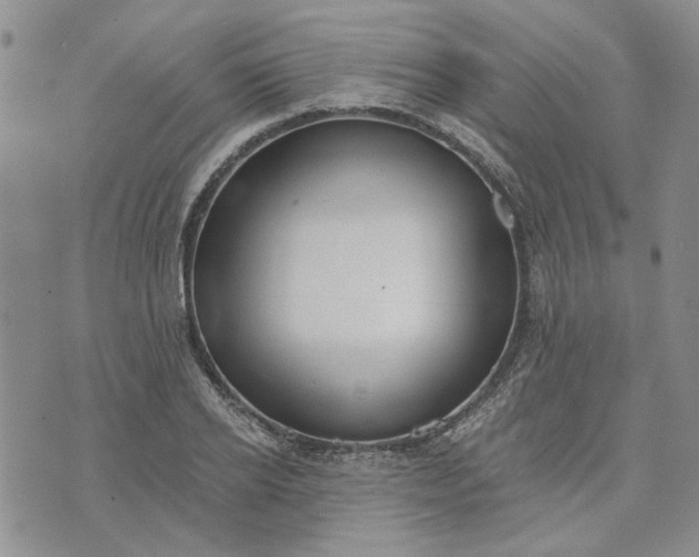 X0000072970934200608041214