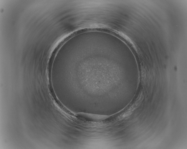 X0000072970935200608041214