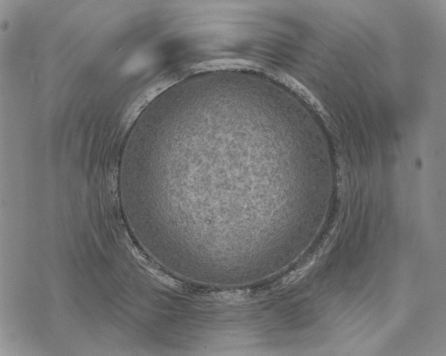 X0000072970937200608041214