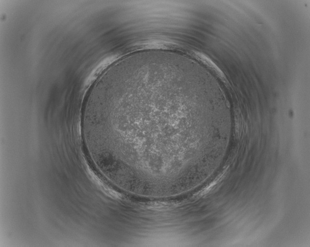 X0000072970938200608041214