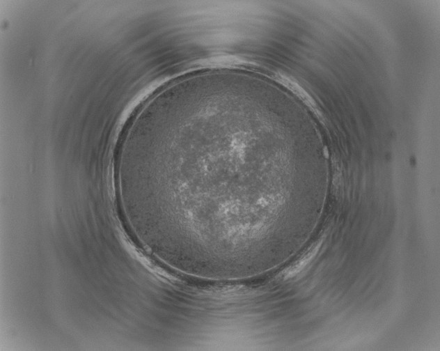 X0000072970939200608041214