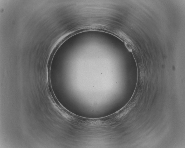 X0000072970940200608041214