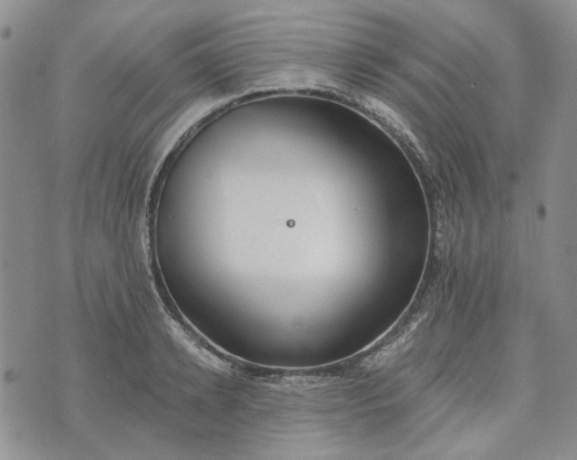 X0000072970942200608041214