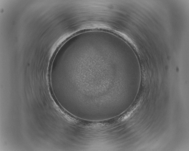 X0000072970943200608041214