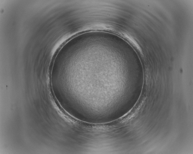 X0000072970944200608041214