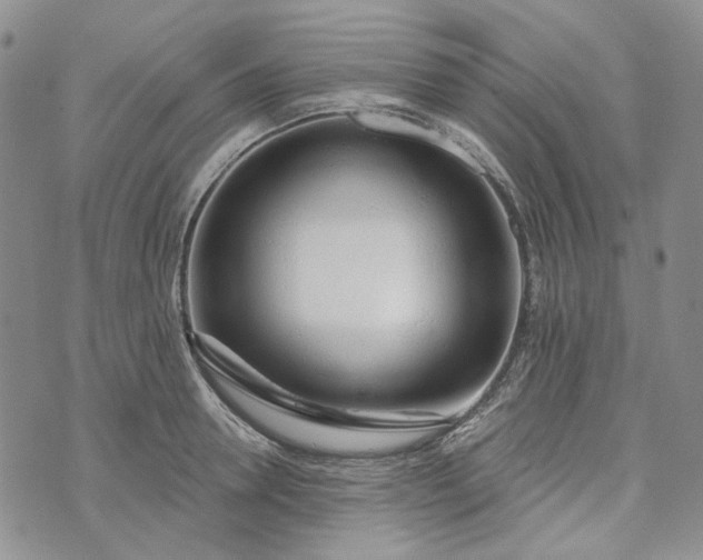 X0000072970946200608041214