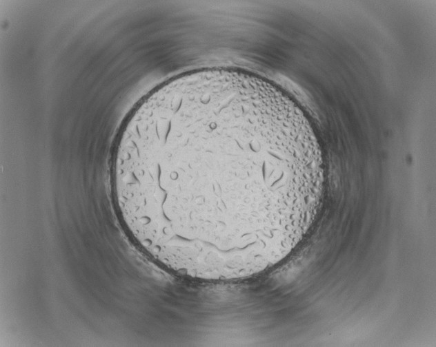 X0000072970950200608041214