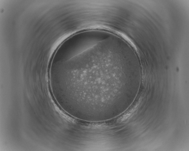 X0000072970951200608041215