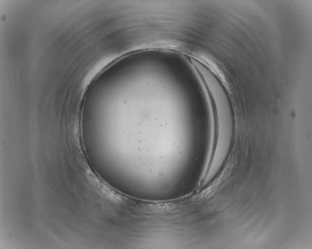 X0000072970952200608041215