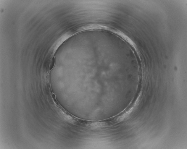 X0000072970953200608041215