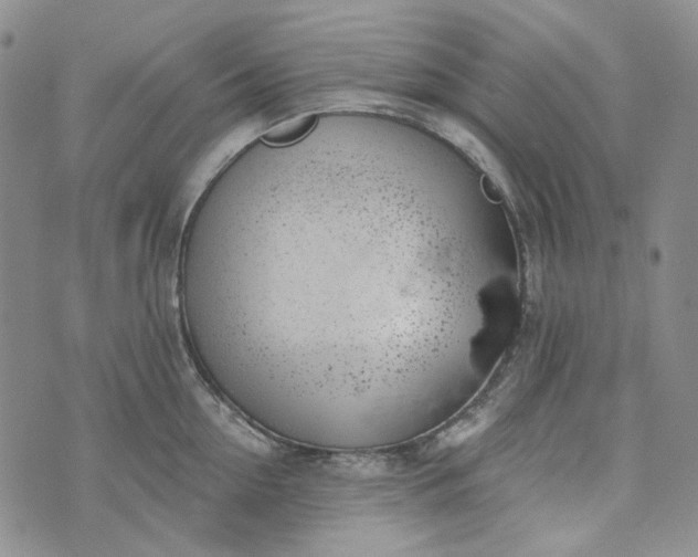 X0000072970954200608041215