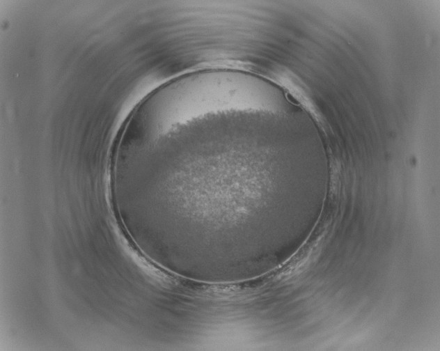 X0000072970955200608041215