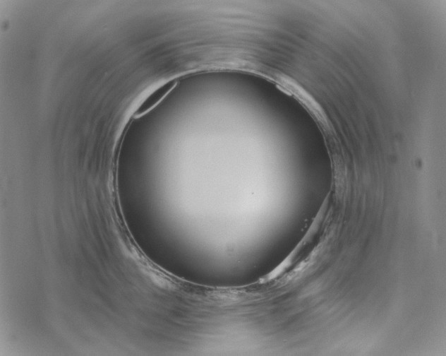 X0000072970956200608041215