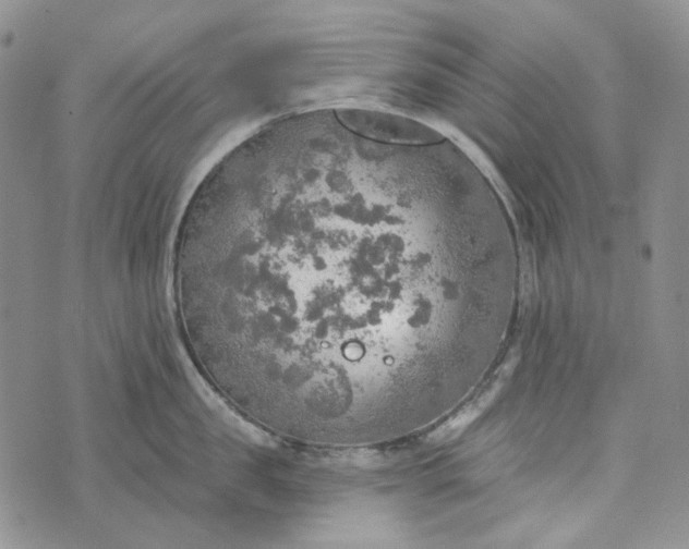 X0000072970957200608041215