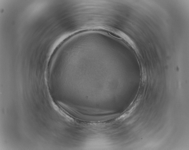 X0000072970958200608041215