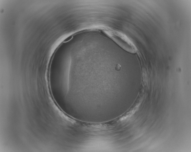 X0000072970959200608041215