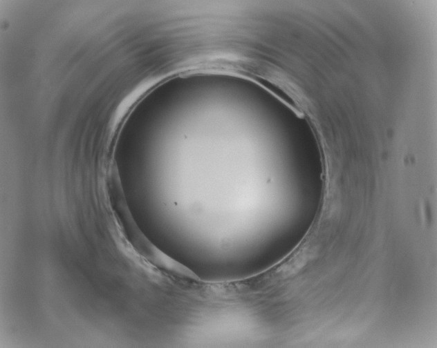 X0000072970960200608041215