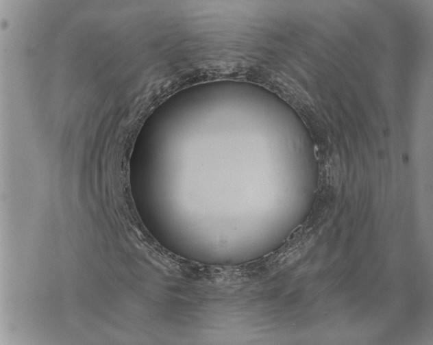 X0000072970961200608041214