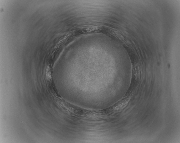 X0000072970962200608041214